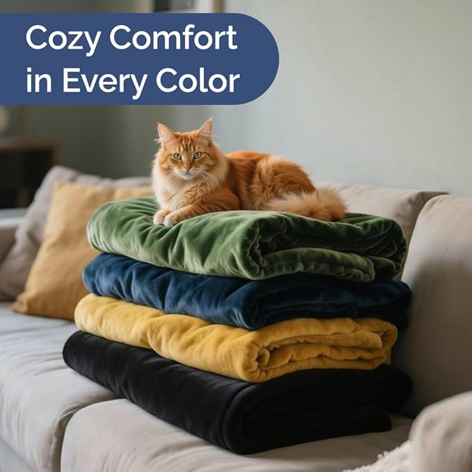 Ultra Soft Fleece Blanket Twin Size - Flannel Fleece Luxury Twin Blanket - Lightweight for Couch Bed Chair - Thick, Warm and Breathable - All Season Cozy Fuzzy, Anti-Static Microplush Bedding, Black