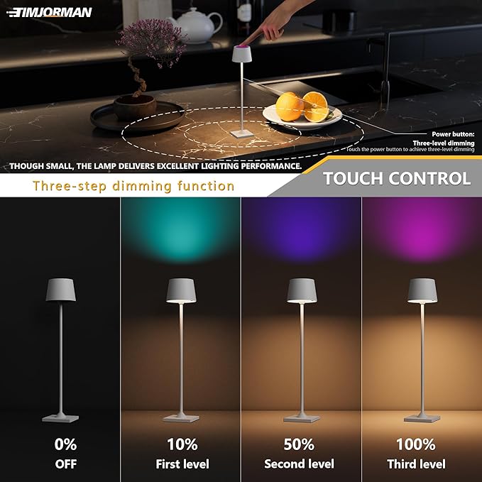Timjorman Compact Cordless Table Lamp, Rechargeable LED Night Light, Dual Light Source (RGB Top & Warm Bottom), Touch Control & Timer, Metal Lamp for Bedroom & Kids Room (White 1PACK)