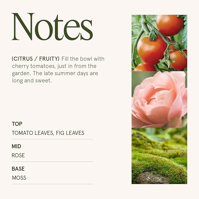 LA JOLIE MUSE Tomato & Vine Candle - Tomato Leaf, Rose, Moss | 12 oz Large 2-Wick Soy Wax Candle | 60 Hours Clean Burn | Fresh Garden Scented Candle | Gift-Ready for Hosts & Gatherings