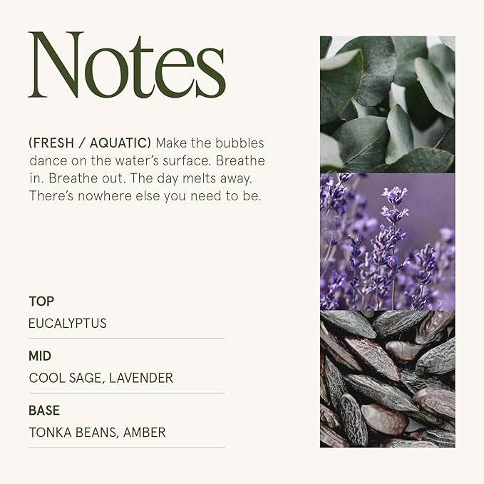 LA JOLIE MUSE Eucalyptus & Alpine Sage | Eucalyptus, Lavender & Sage Candle for Home Cleansing | 19 oz Wooden Wick | Natural Soy Wax | 90 Hours Burn | Candle for Relaxation