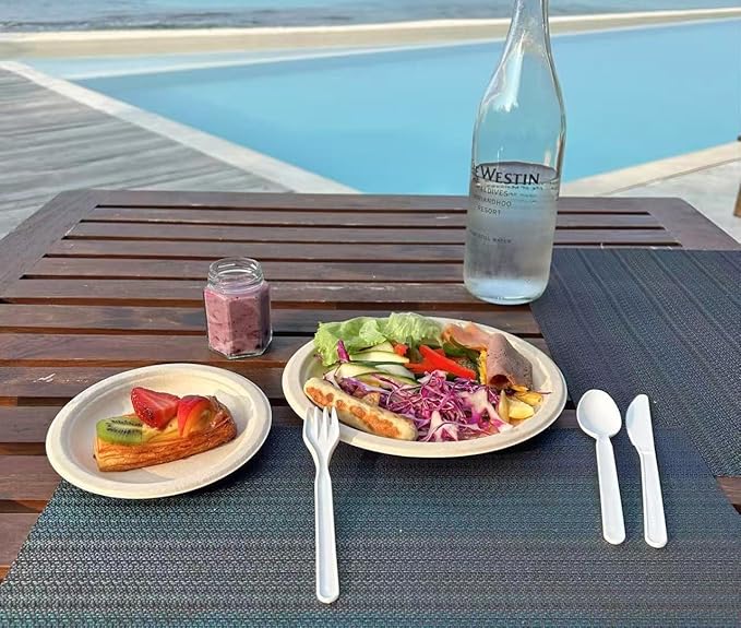 GreenWorks 1000 Bulk Compostable CPLA Knives,7" Series Disposable Knife