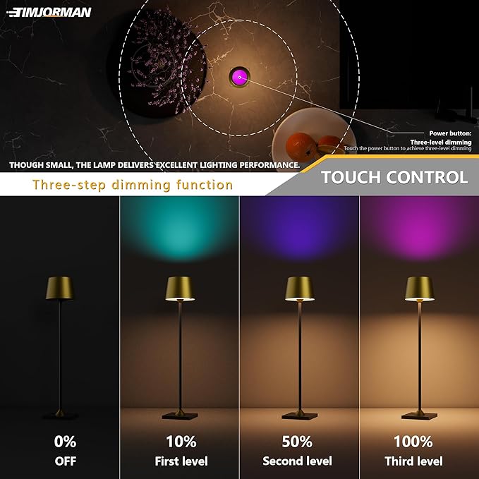 Timjorman Compact Cordless Table Lamp, Rechargeable LED Night Light, Dual Light Source (RGB Top & Warm Bottom), Touch Control & Timer, Metal Lamp for Bedroom & Kids Room (Antique Brass & Black)