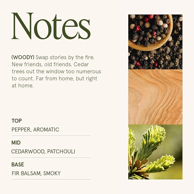 LA JOLIE MUSE Starlit Golden Fir Scented Candle | Cedarwood, Patchouli & Fir Balsam | 6 oz Soy Wax | 40 Hours Clean Burn | Fresh Scent Candles for Home | Gift-Ready for Hosts & Gatherings