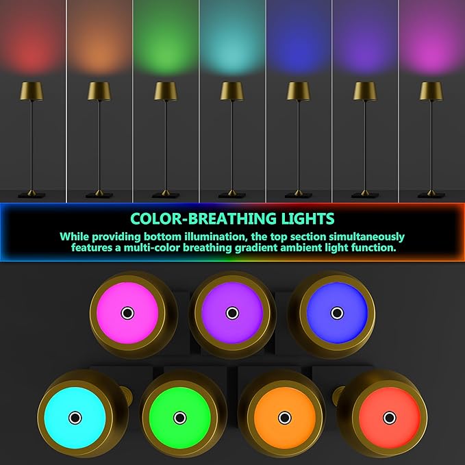 Timjorman Compact Cordless Table Lamp, Rechargeable LED Night Light, Dual Light Source (RGB Top & Warm Bottom), Touch Control & Timer, Metal Lamp for Bedroom & Kids Room (Antique Brass & Black)