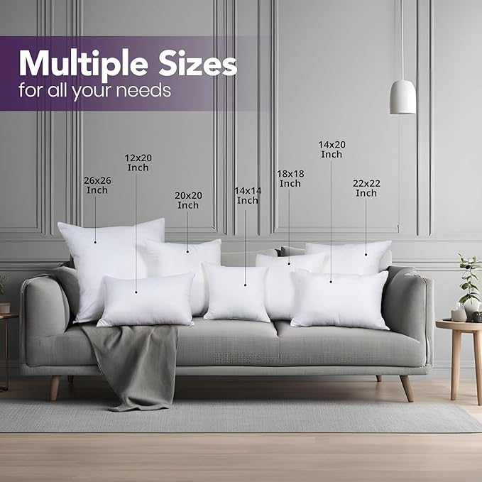 Utopia Bedding Throw Pillows Insert (Pack of 2, White) - 22 x 22 Inches Bed and Couch Pillows - Indoor Decorative Pillow