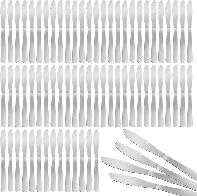 150 Pcs 8.3 Inches Stainless Steel Dinner Knives Spreader Knives Silverware Silver Butter Knife for Steak Table Home Kitchen Restaurant