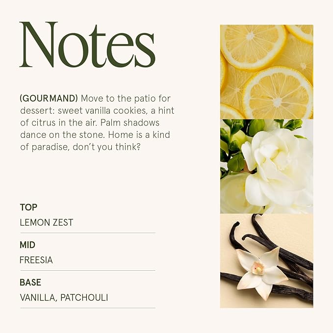 LA JOLIE MUSE Vanilla Bomb Candle | Lemon Zest, Fressia & Patchouli | 12 oz Large 2-Wick Soy Wax Candle | 60 Hours Clean Burn | Valentines Day Decor & Gift for Her