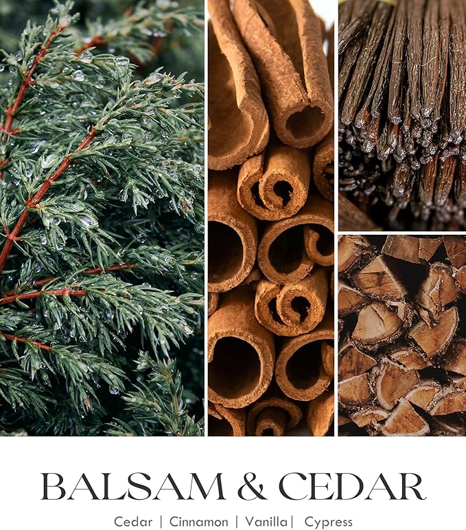 AOOVOO Balsam Cedar Candle - Large Pine Scented Soy Wax Aromatherapy Candle, 9 oz