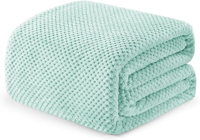 Exclusivo Mezcla Fleece Bed Blanket King Size, Super Soft and Warm Blankets for Couch, Sofa and Bed Waffle Textured, Cozy, Fuzzy and Lightweight (Mint Green, 90x104 Inches)