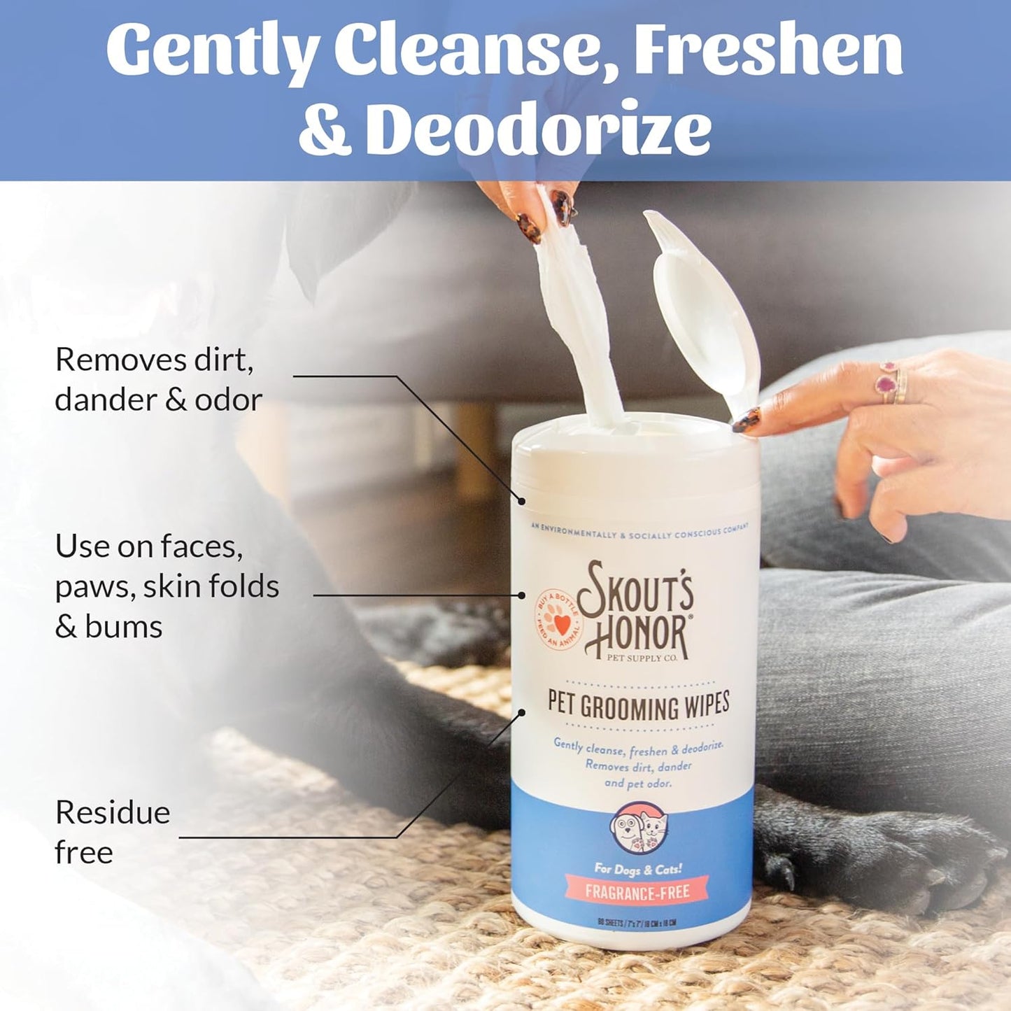 SKOUT'S HONOR Pet Grooming Wipes for Dogs and Cats - Deodorizing, Plant-Based, Biodegradable, Fragrance-Free - for Paws, Faces, Skin Folds & Bums, 80 Count, 2-Pack