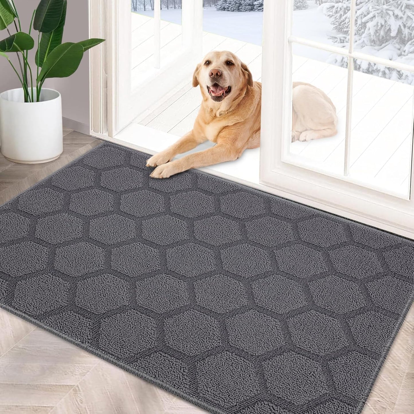 FONEYI Indoor Door Mat, Entrance Rug 24" x 36" Non-Slip Rubber Backing, Machine Washable Entry Rug, Low Profile Absorbent Dirt Trapper Doormat Inside Floor Mats for Entryway, Grey